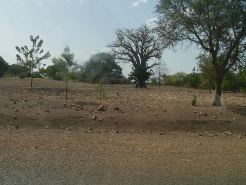 On the way home