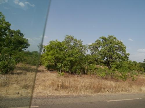 On the way home